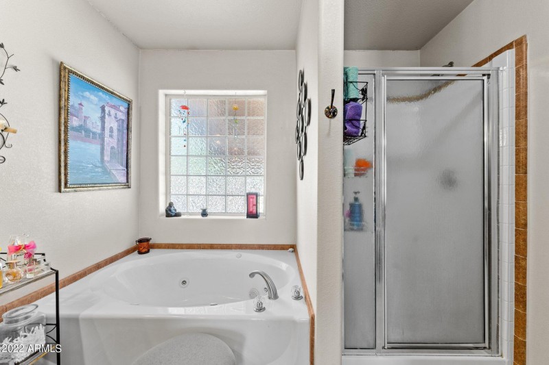 Main Bath Tub/Shower