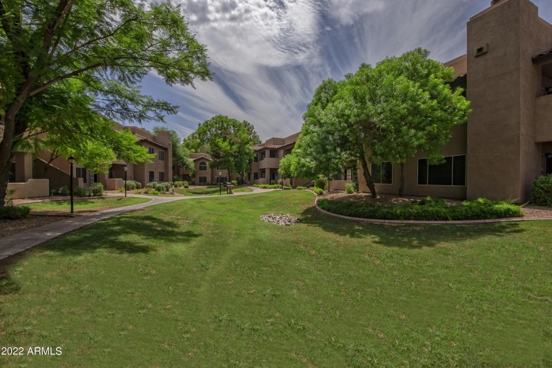 003_Community Grounds