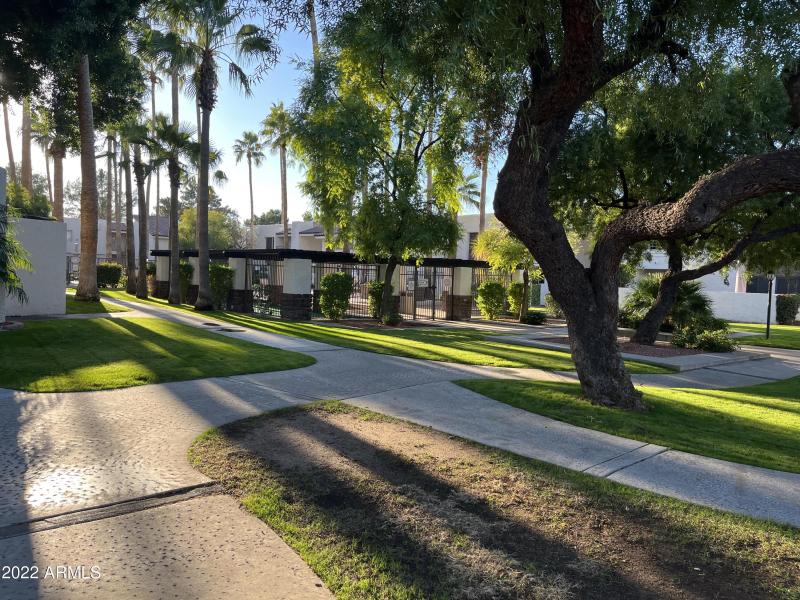 Walking Paths within Community