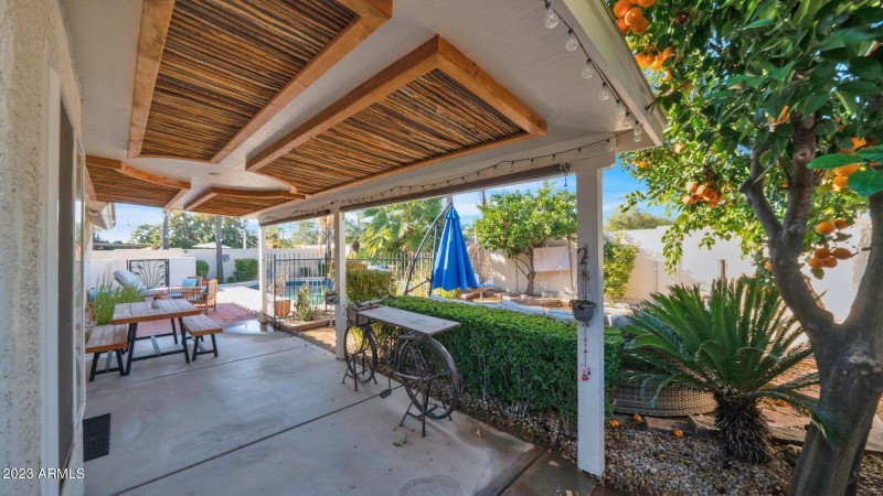 Covered Patio & Yard