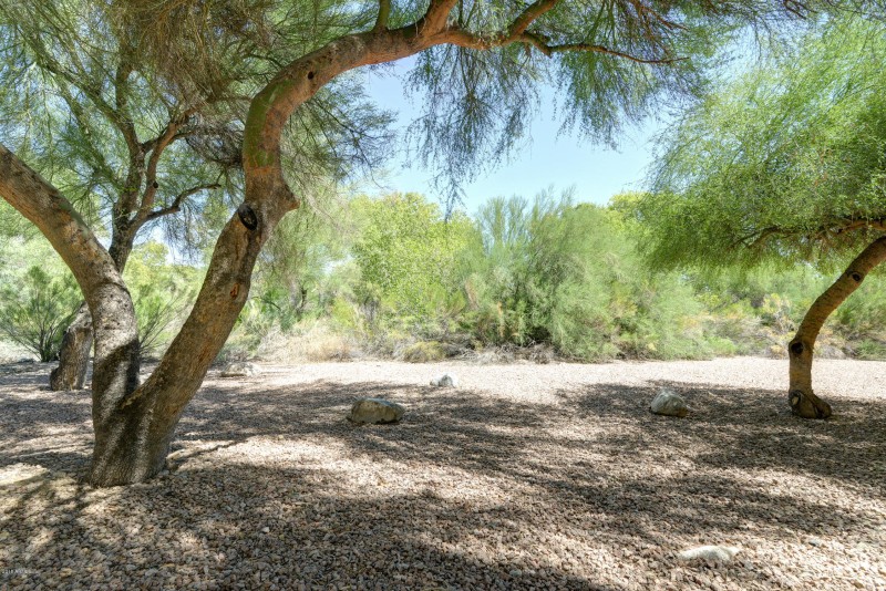 16344 E Arrow Dr A1 (8)