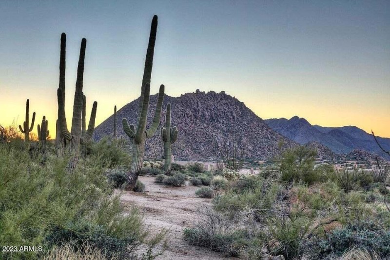 15 Sunrise