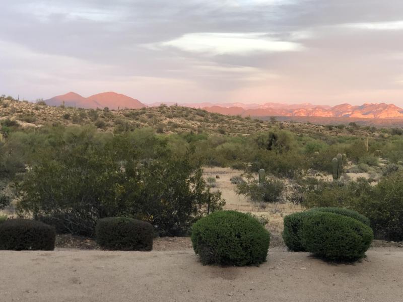 View from back patio
