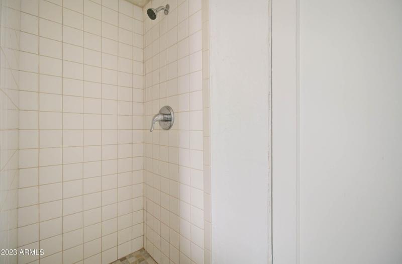 877 E Sycamore Tweety Bird-8