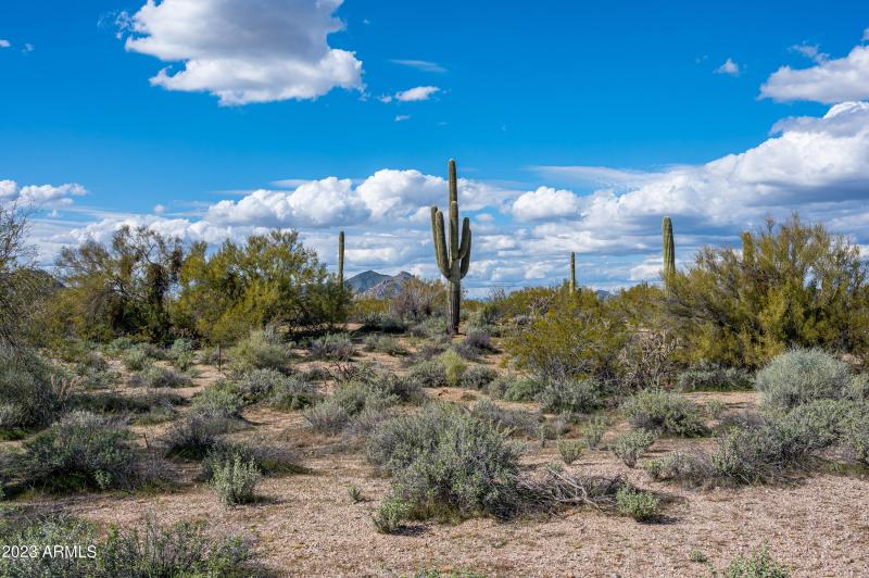 Lot 125 at 8614 E Artisan Pass -8