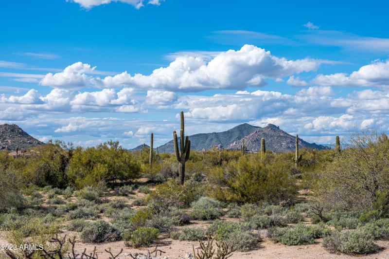 Lot 125 at 8614 E Artisan Pass -9