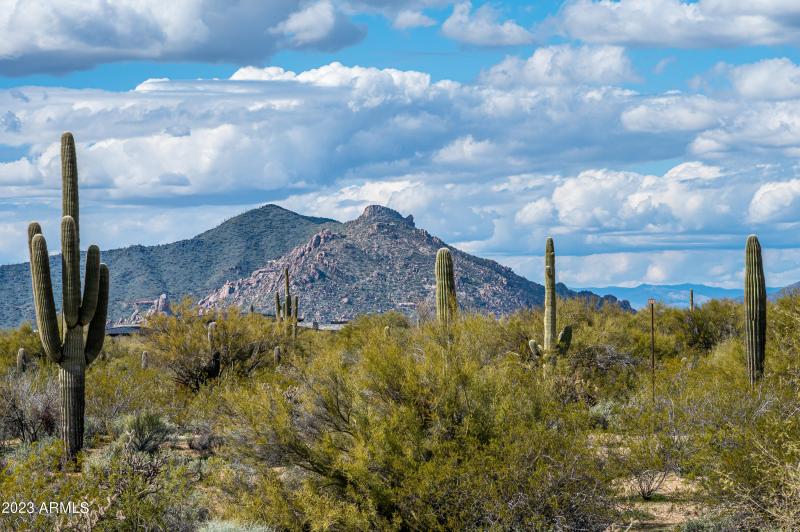 Lot 125 at 8614 E Artisan Pass -11