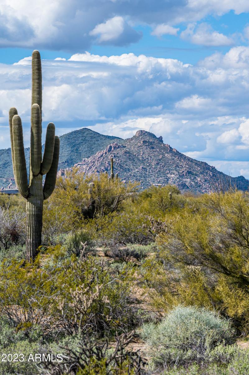 Lot 125 at 8614 E Artisan Pass -13