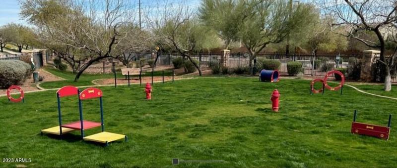 Dog Park