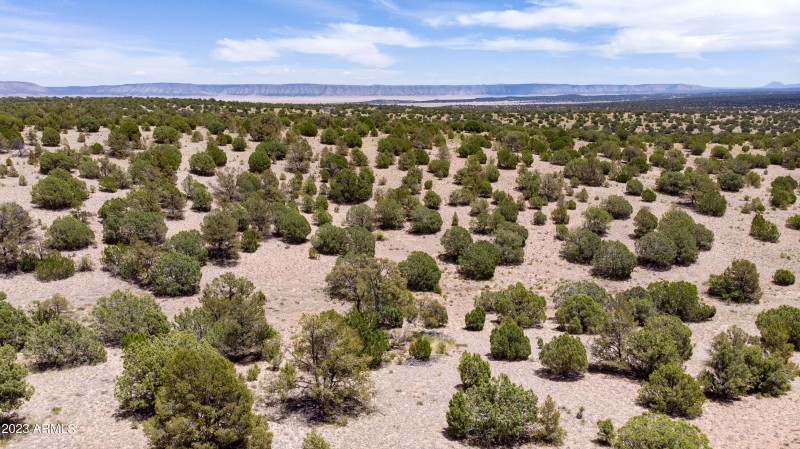 DJI_0068