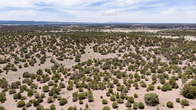 DJI_0100