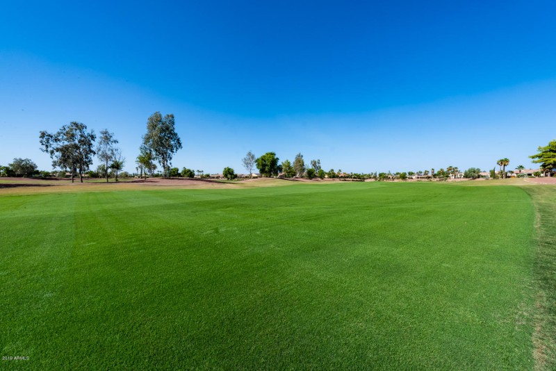 22516 N San Ramon Dr-24