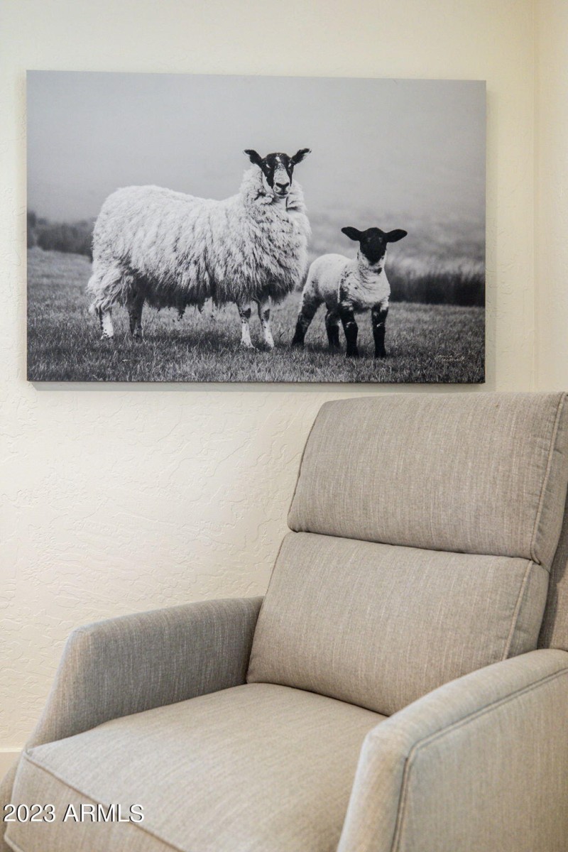 48-web-or-mls-4909-e-tumbleweed-cir