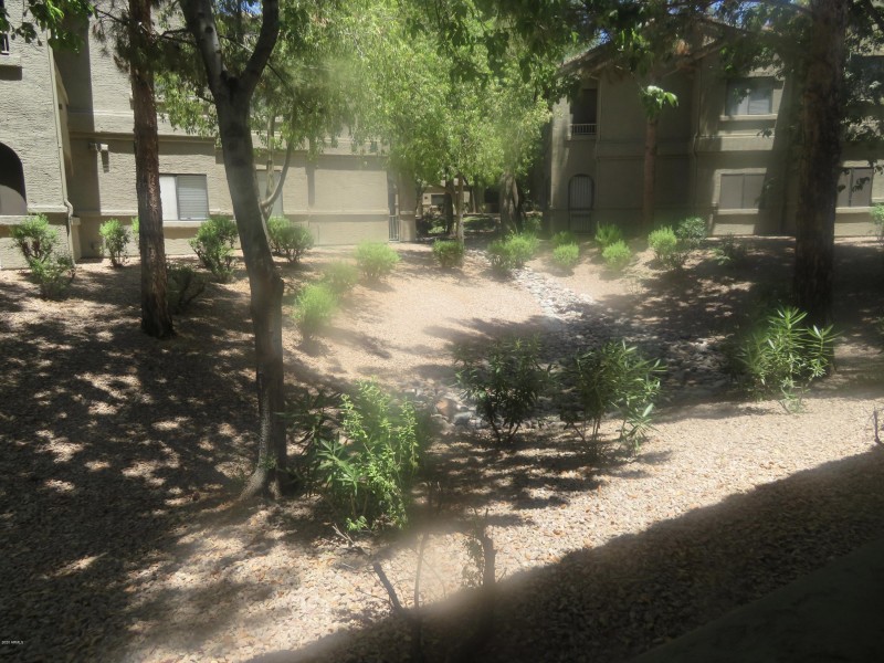 PATIO FACES COMMON AREAS