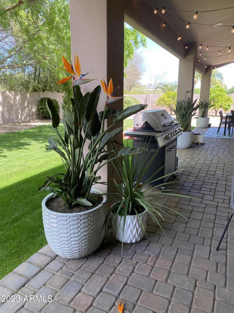 Backyard Patio & BBQ