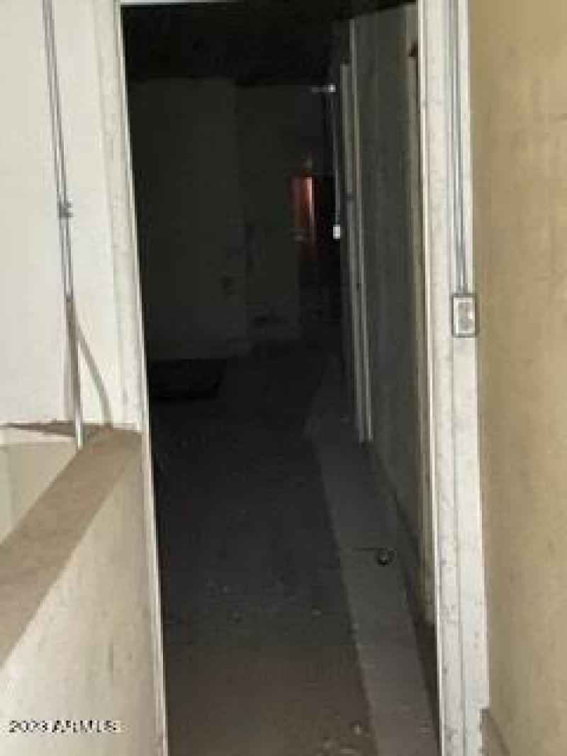 C2B51232-47C9-4689-A520-0C94A42C6E6C_4_5