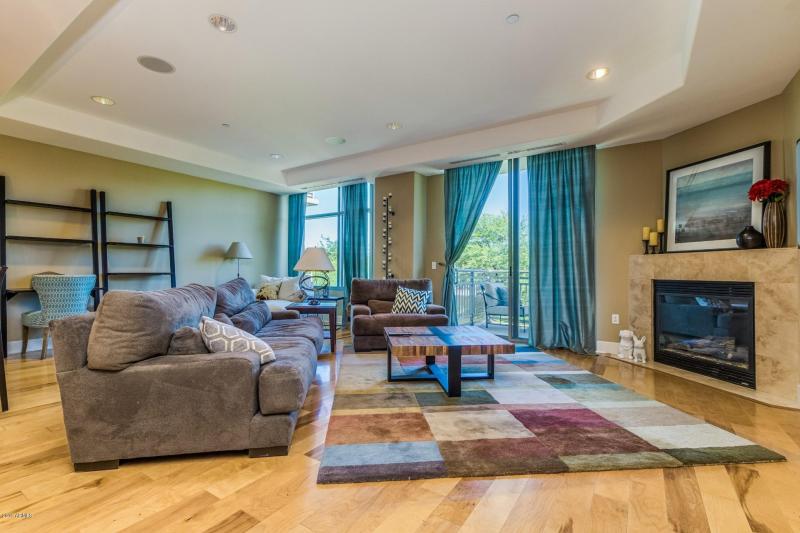Living Room and Fireplace