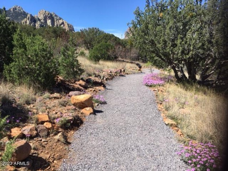 Walking Path