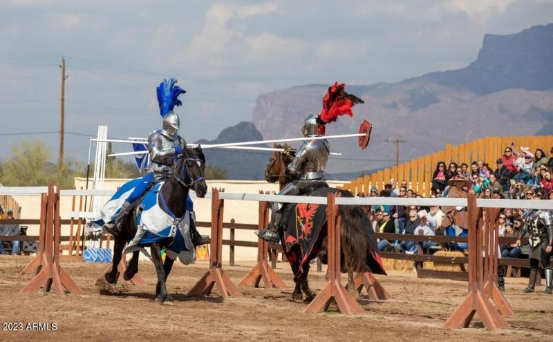 renaissance festival 1