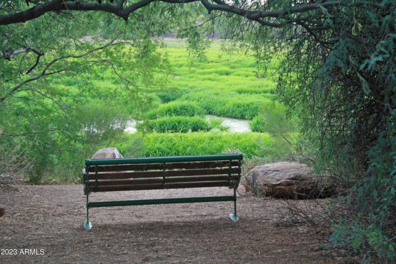 Gilbert-Riparian-Preserve-at-Water-Ranch