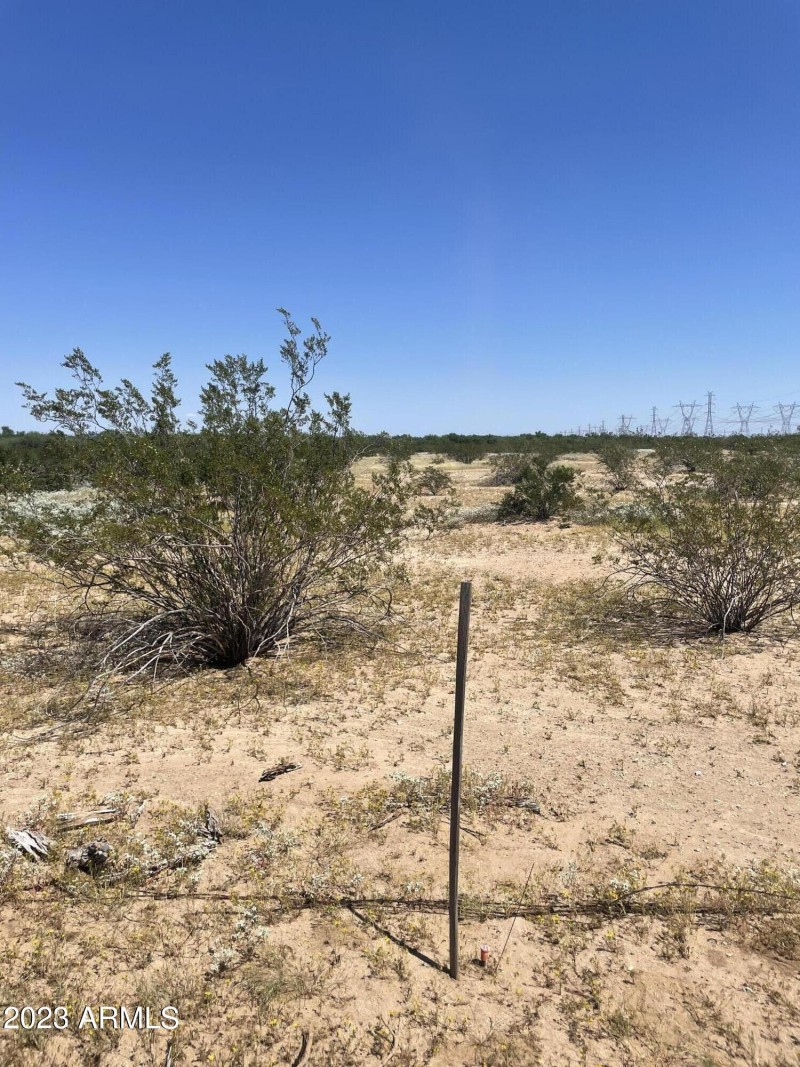 SW Stake O west Lone Cactus Drive