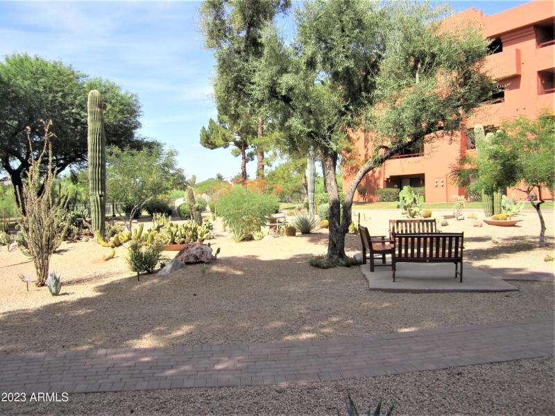 ANASAZI CACTUS SEATING 720