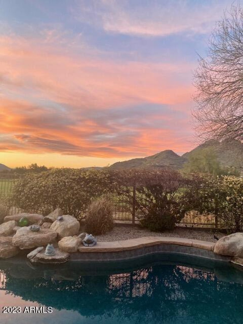 sunset backyard Robin