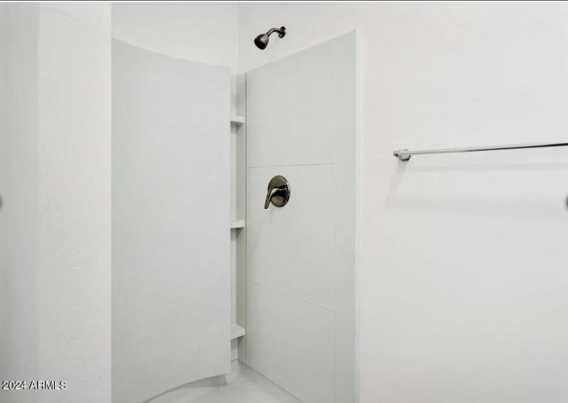 Master Walk-in Shower