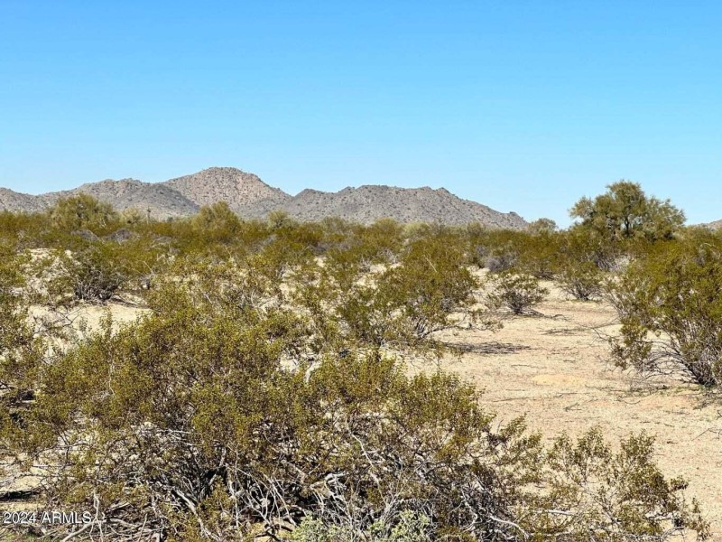 20230216011440309106000000-o