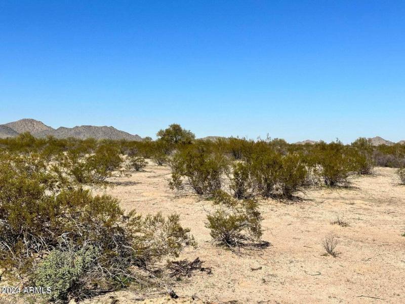 20230216011446720343000000-o