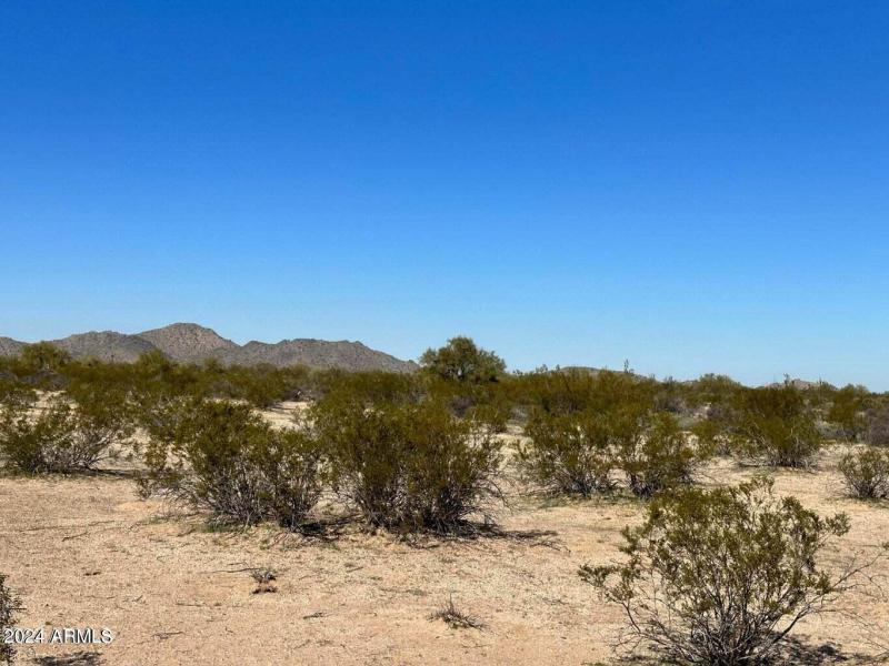 20230216011453074648000000-o