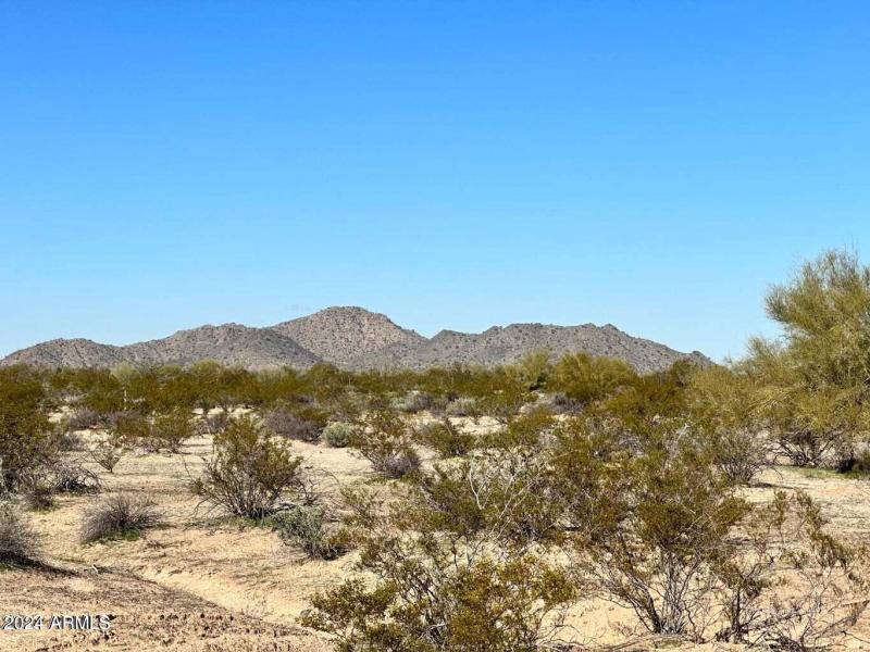 20230216011553108624000000-o