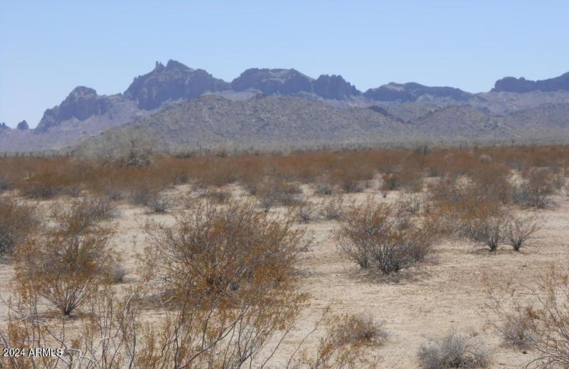 48176 W Belleview ST