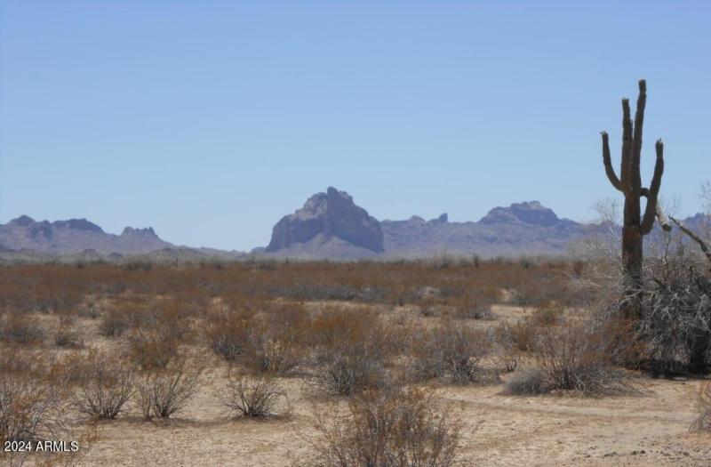 48176 W Belleview ST