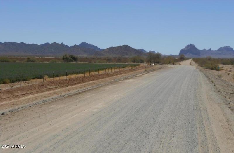 48176 W Belleview ST