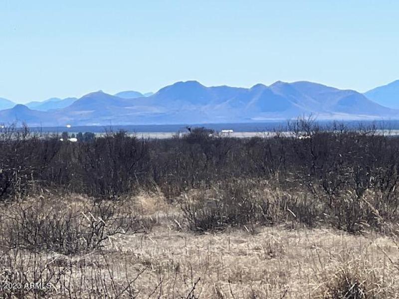 IMG_7391.jpg NO 3 WILL COX LOT