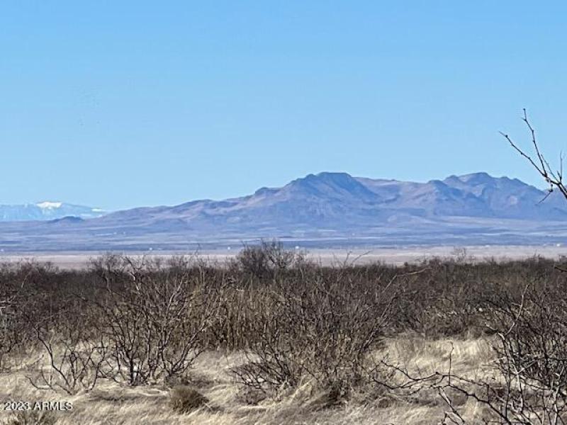 IMG_7389.jpg NO 4 WILLCOX LOT