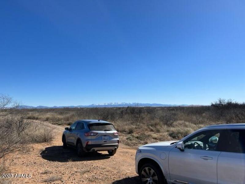 IMG_7376.jpg NO 5 WILLCOX LOT