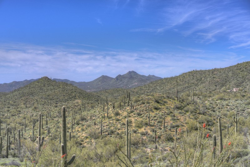 Build your Dream Estate Home Here