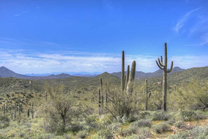 View to the Southwest