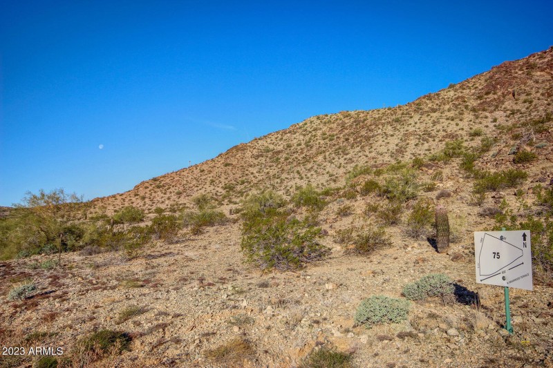 0004-3116 W Briarwood (2)