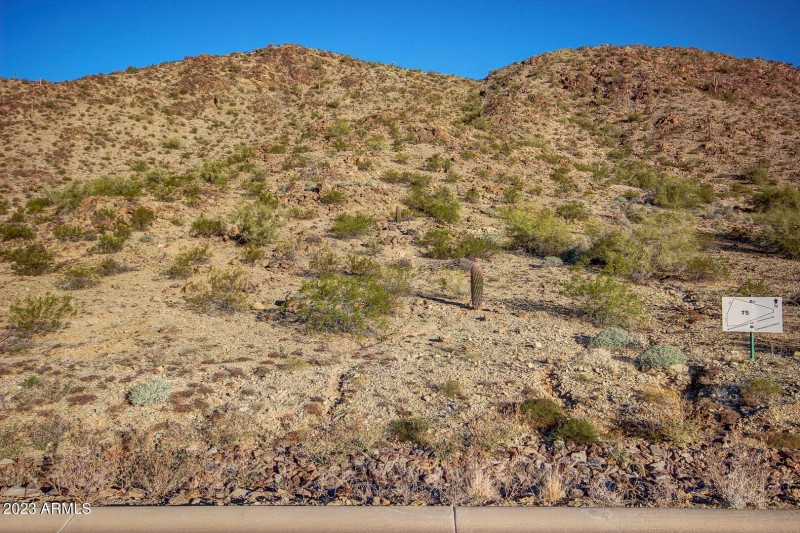 0002-3116 W Briarwood (1)