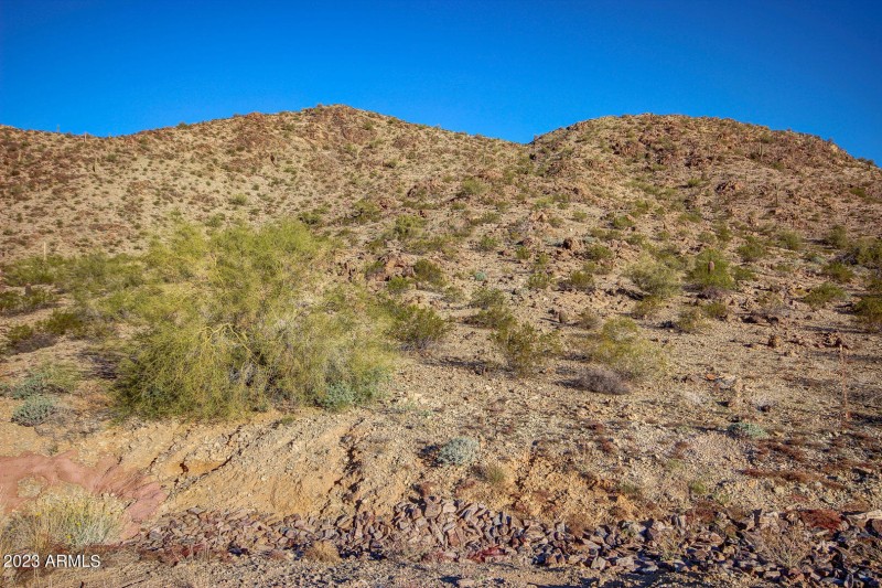 0003-3116 W Briarwood (3)