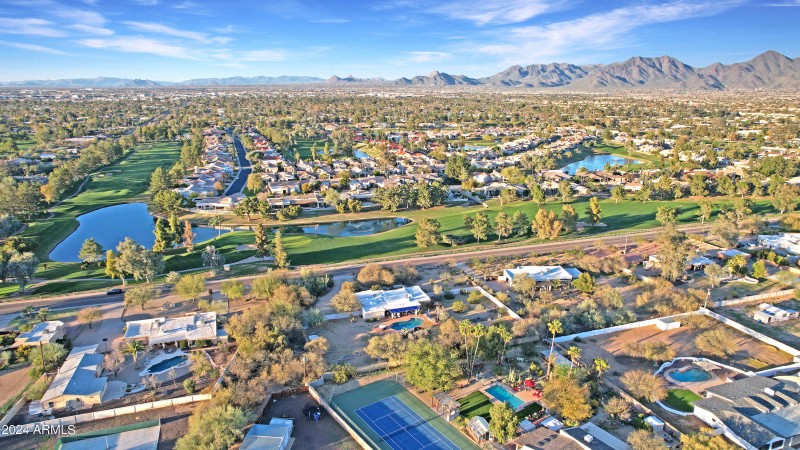 Cholla Nice Neighborhood