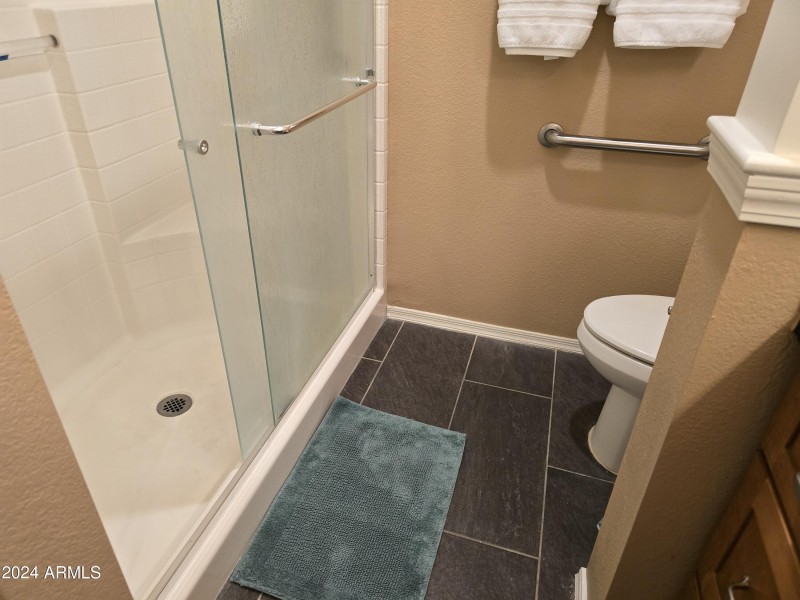 Primary Shower