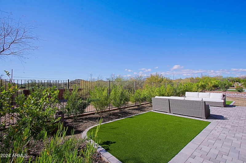 Backyard 2