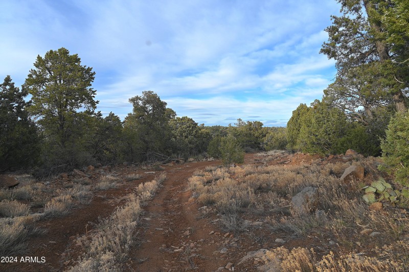 private road through property