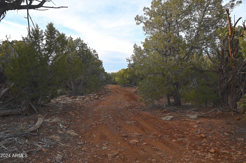 ATV, Cars walk