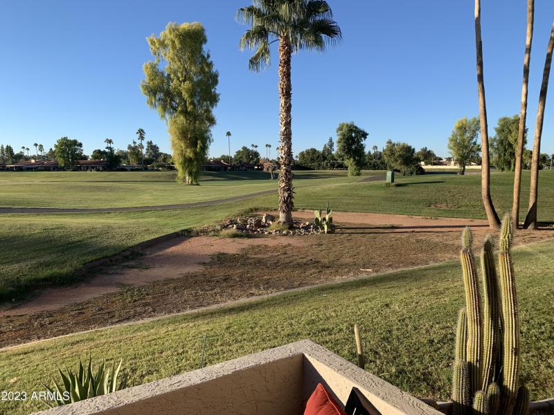 Golf view