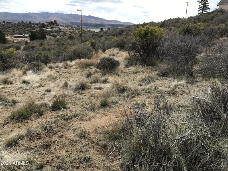 89F4F7E1-0A4D-44CE-9A87-118B479A8341